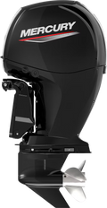 Mercury 40 ELPT